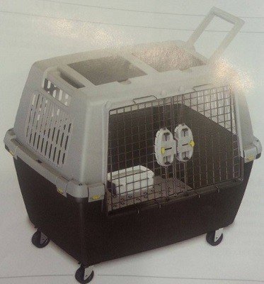 Record Gulliver narvas transportavimui