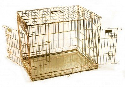 Record metalinis narvas šunims ir katėms