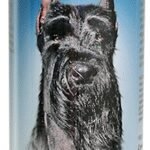 Bio Groom Country Freesia šampūnas šunims ir katėms