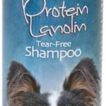 Bio Groom Protein Lanolin šampūnas šunims ir katėms