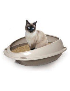 RECORD Tualetas katei su rėmu