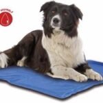 Vėsinantis kilimėlis šunims