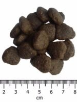 OPTIMA nova dog Adult Sensitive Salmon & Potato vieno baltymo sausas pašaras šunims