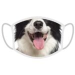 Apsauginė veido kaukė - Borderkolis
