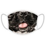 Apsauginė veido kaukė - Prancūzų buldogas