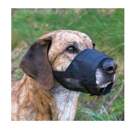 Šuns antsnukis, L, 22-32 cm, juodas