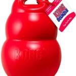 KONG Bounzer žaislas šunims, m