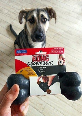 Kong Extreme Medium žaislas šunims