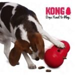 Kong Wobbler Large, žaislas šunims
