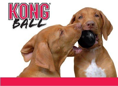 KONG Extreme Ball labai tvirtas kamuolys S