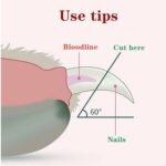 Nagų karpymo žirklutės, 10cm su LED lempute