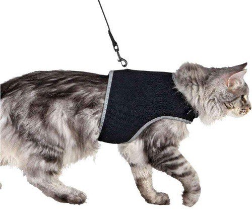 TRIXIE Kačių petnešos minkštos su pavadėliu, 24-42 cm, 1.20 m