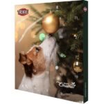 Trixie Kalėdinis Advento Kalendorius Šunims