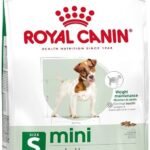 ROYAL CANIN Mini Adult sausas pašaras šunims 2 kg