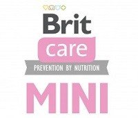 Brit Care Mini