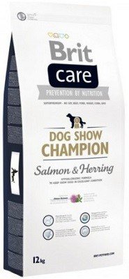 Brit Care Dog Show Champion