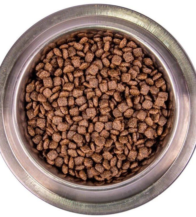 Monge Mini Adult Salmon & rice (lašiša) sausas pašaras šunims