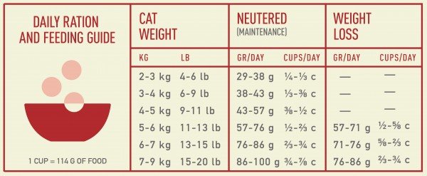 Acana Indoor Entree Cat sausas maistas katėms