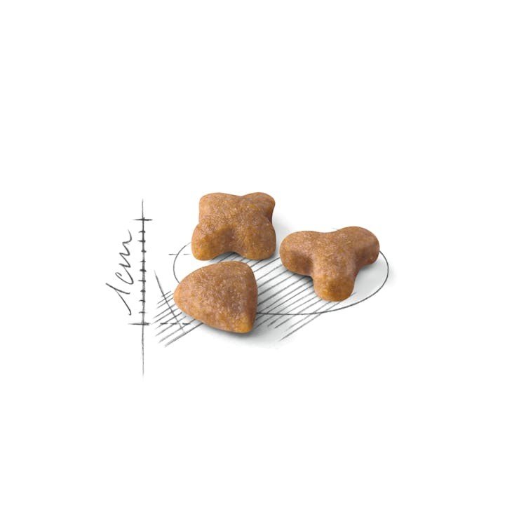 ROYAL CANIN Sensible 33 sausas pašaras katėms