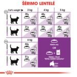 ROYAL CANIN Sensible 33 sausas pašaras katėms