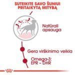 ROYAL CANIN Medium Adult 15+3 kg sausas pašaras šunims