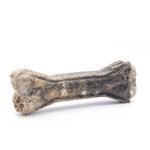 Kimo Chew Bone with Salmon skanėstas – kaulas šunims su lašiša