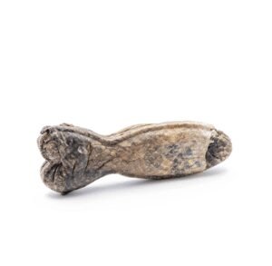 Kimo Filled Chew Bone with Salmon skanėstas – kaulas šunims su lašiša