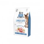 Brit Care Cat GF Large cats Power&Vitality sausas pašaras katėms 2 kg