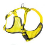 Petnešos Pettorine 36-45x38-52cm