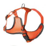 Petnešos Pettorine 32-40x32-45cm