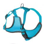 Petnešos Pettorine 48-60x51-72cm